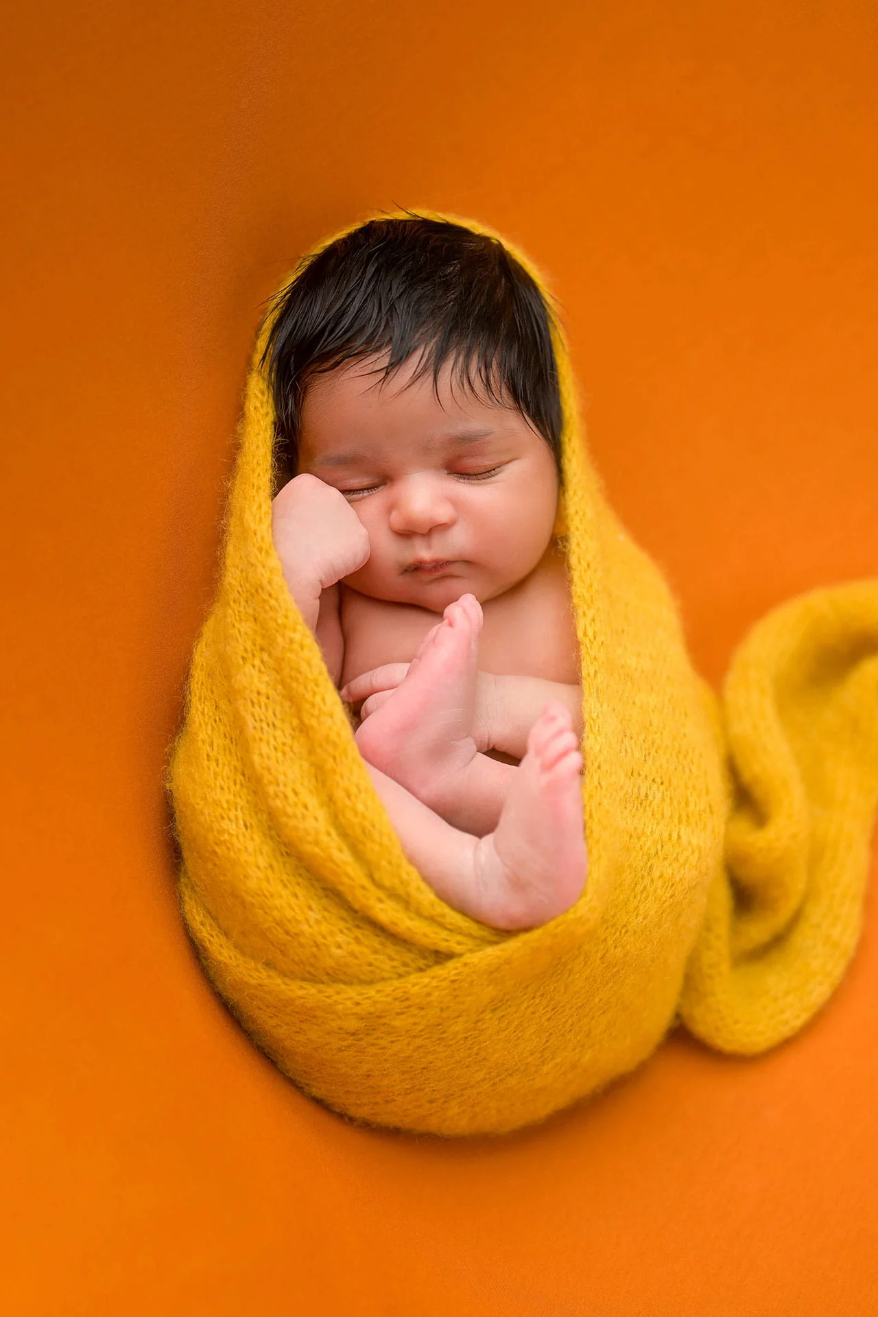 newborn baby in orange and yellow setup